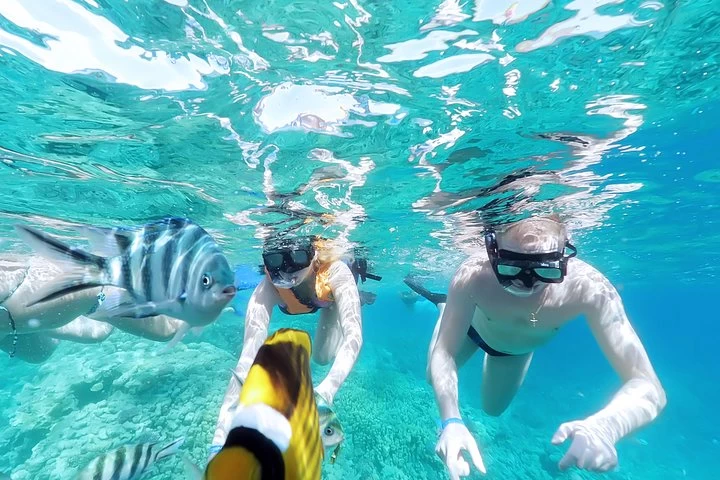Hula Hula Paradise Island Snorkeling Trip }}