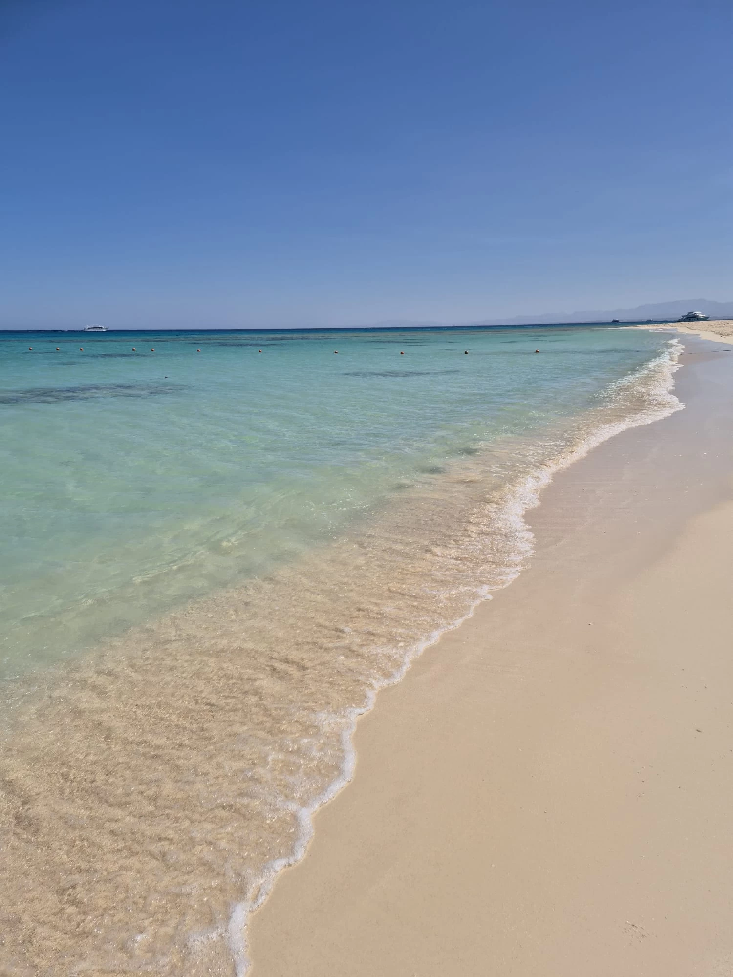 Excursão de um dia à Ilha Mahmya }}