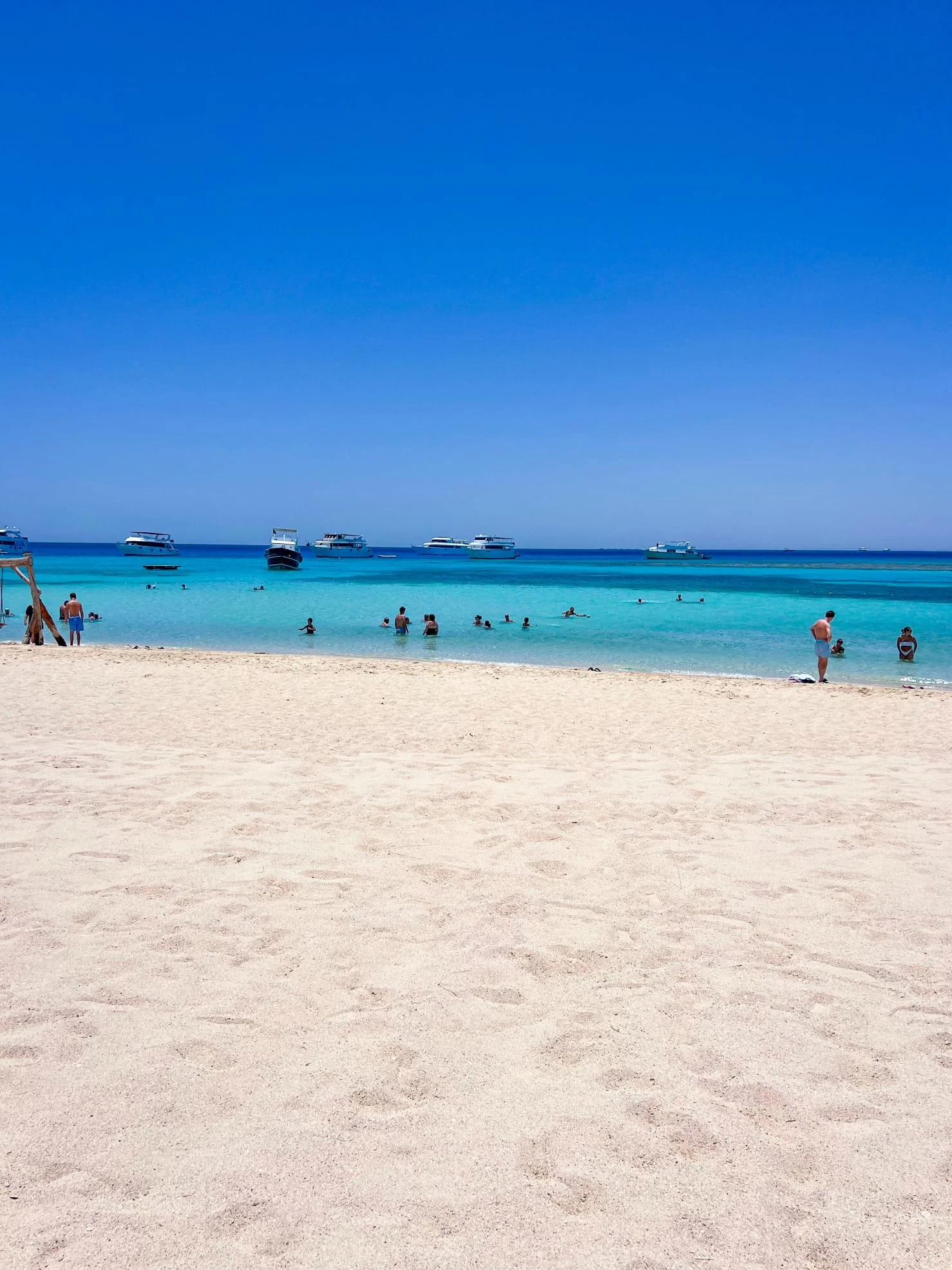 Viagem de mergulho com snorkel Giftun Wonders }}