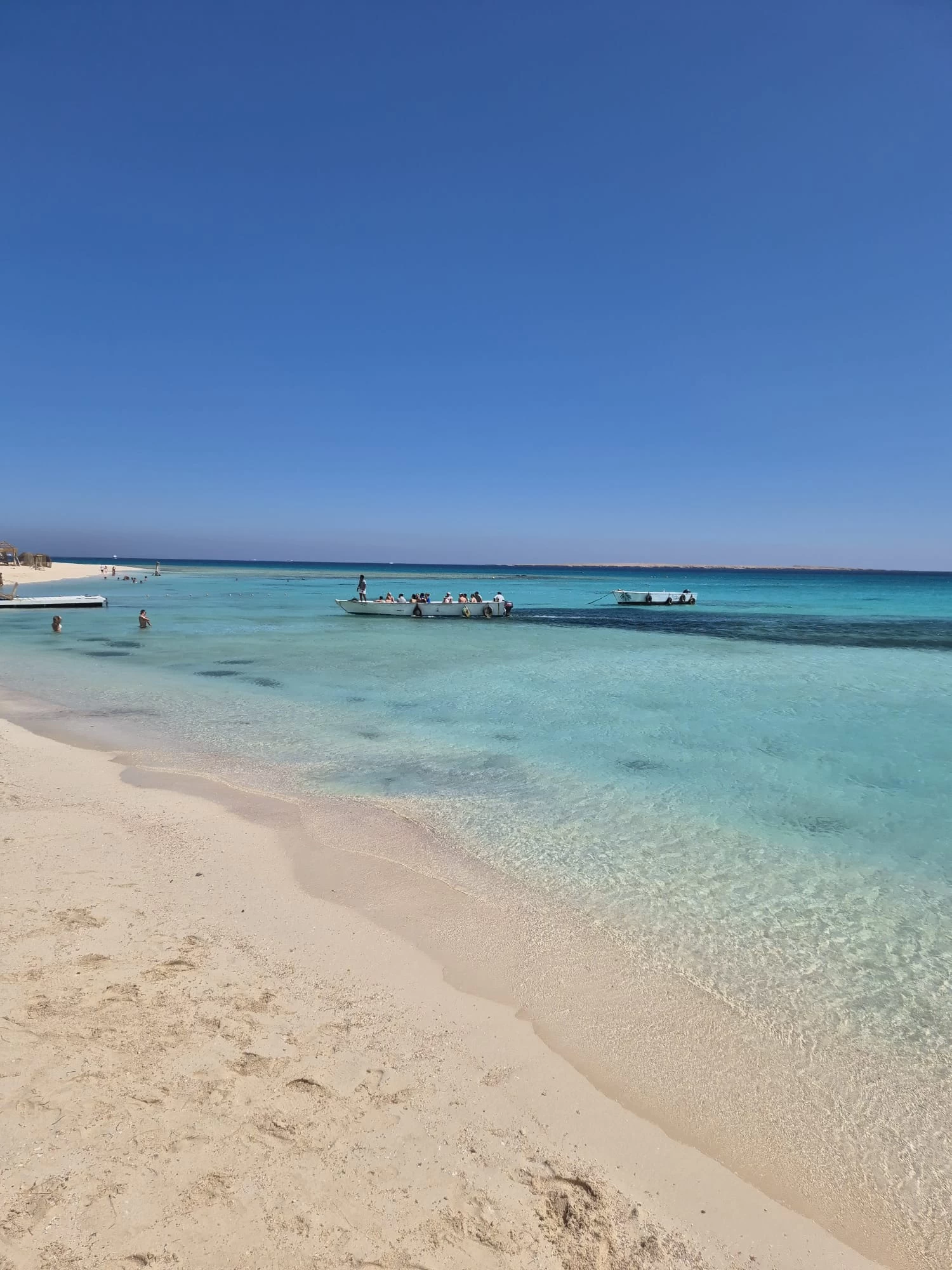 Viagem de mergulho com snorkel Giftun Wonders }}