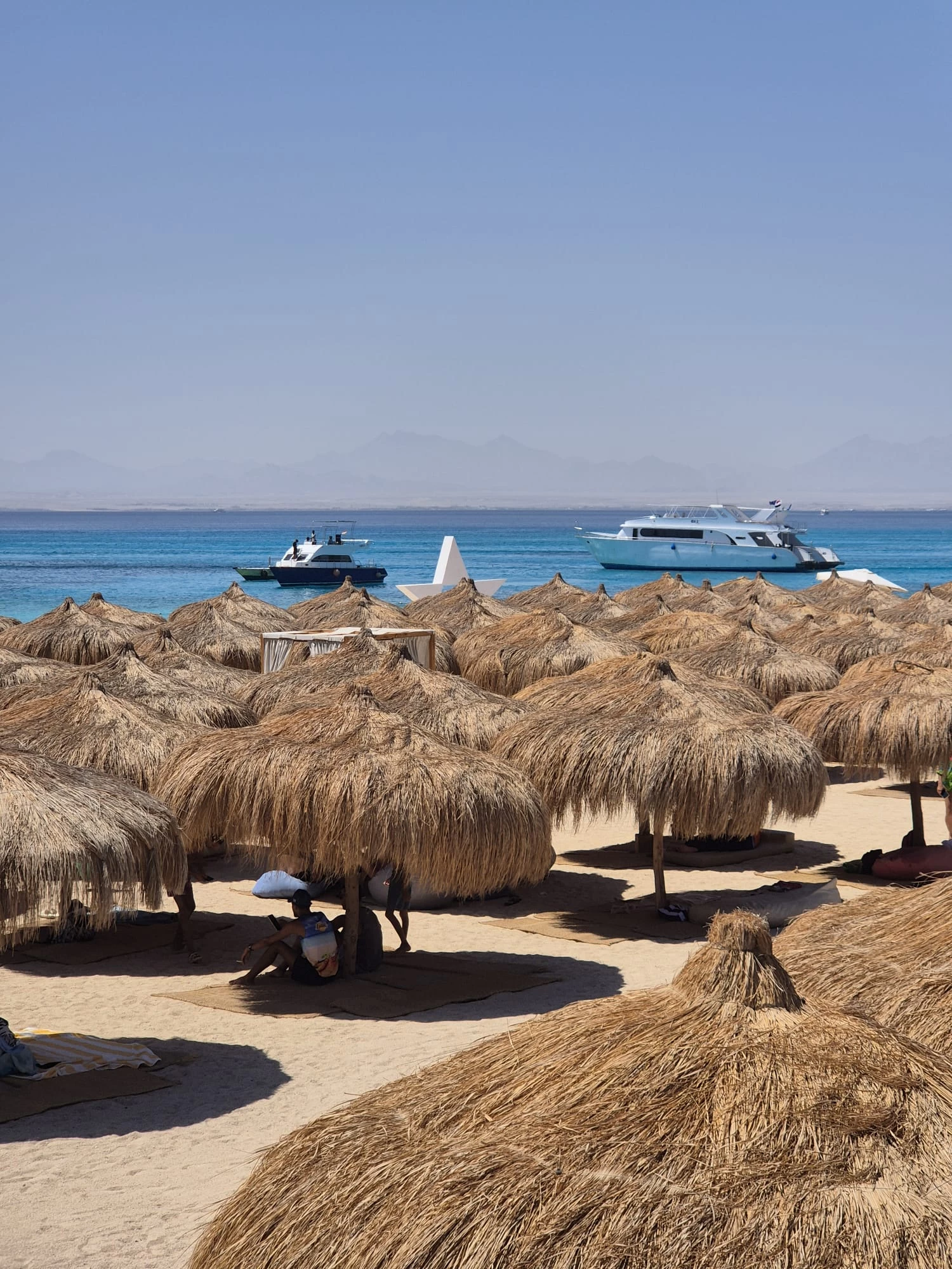 Viagem de mergulho com snorkel Giftun Wonders }}