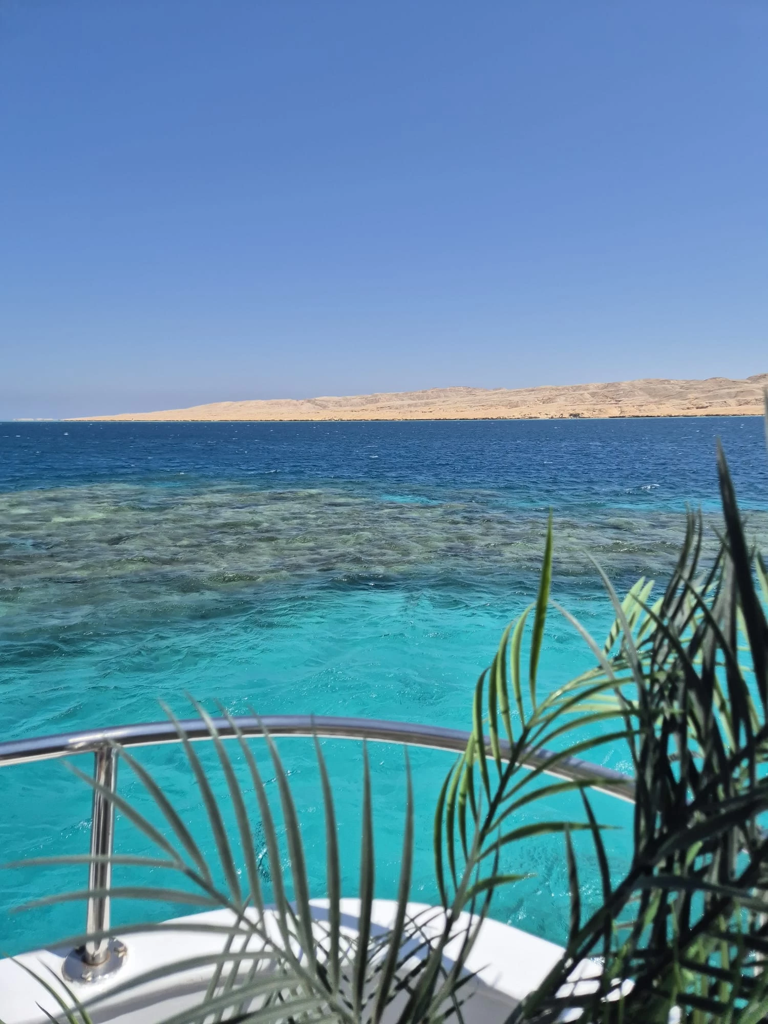 Viagem de mergulho com snorkel Giftun Wonders }}