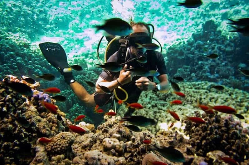 Passeio de Barco com Snorkeling em Ras Mohamed e Ilha Branca }}