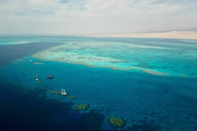 Passeio de Barco com Snorkeling em Ras Mohamed e Ilha Branca }}