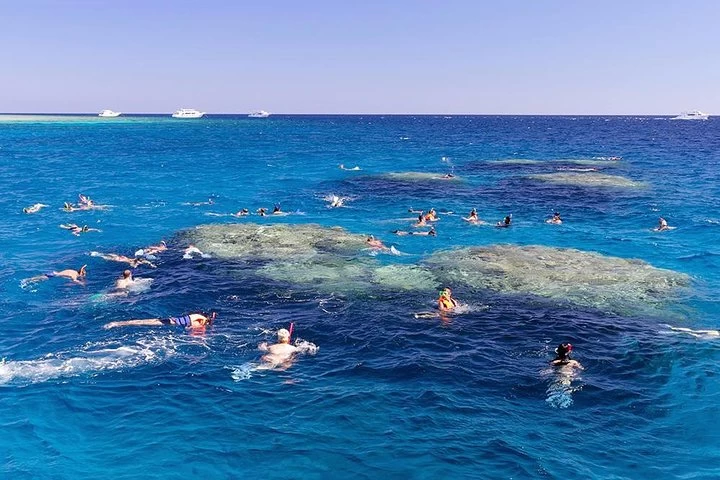 Passeio de Barco com Snorkeling em Ras Mohamed e Ilha Branca }}