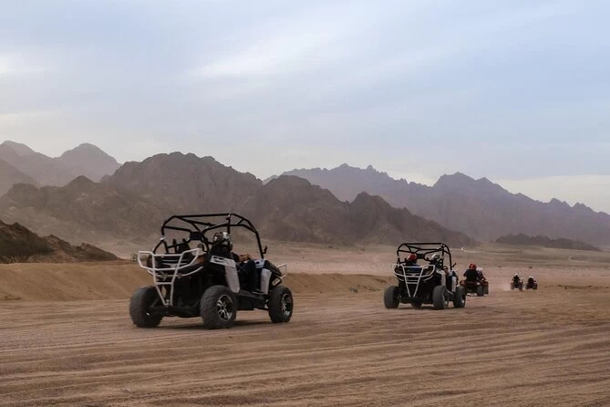 Aventura de Buggy ao Pôr do Sol }}