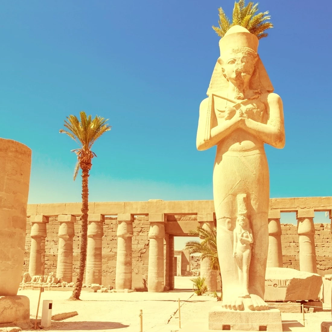 Excursão de Um Dia a Luxor por Avião a partir de Sharm el-Sheikh }}