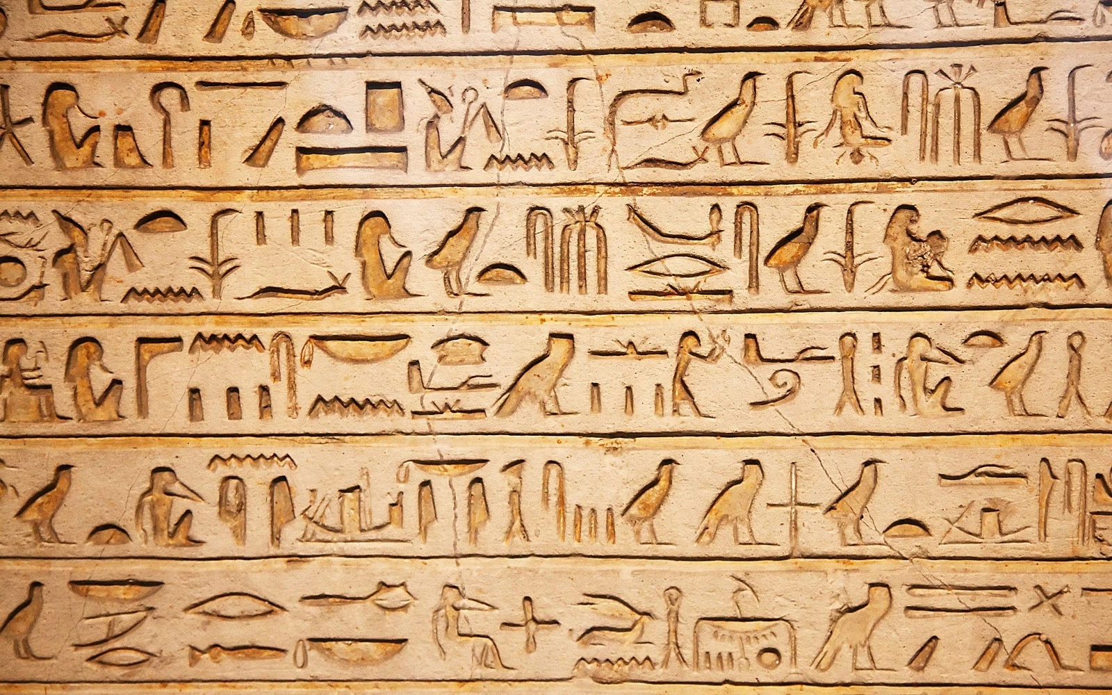 Excursão de Um Dia a Luxor por Avião a partir de Sharm el-Sheikh }}