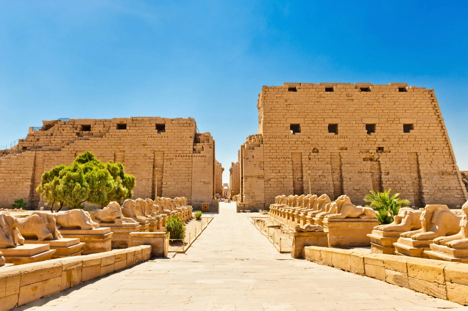 Excursão de Um Dia a Luxor por Avião a partir de Sharm el-Sheikh }}