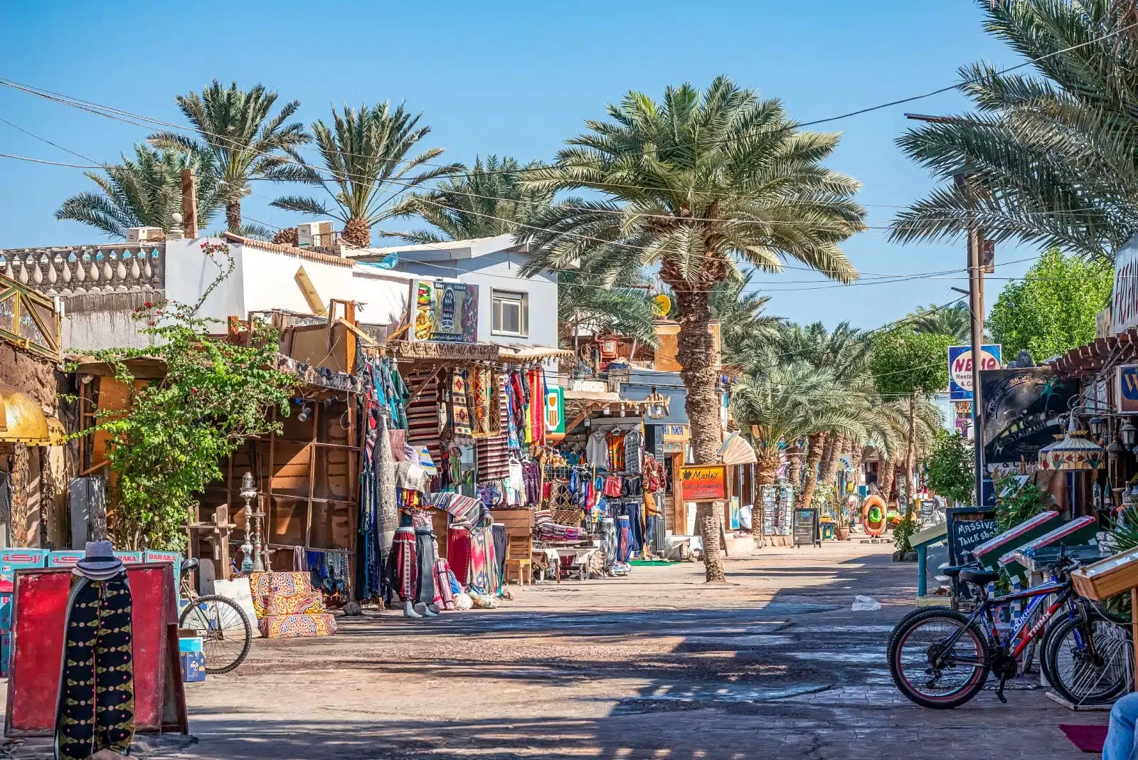 Excursão de Um Dia ao Mosteiro de Santa Catarina e Dahab }}