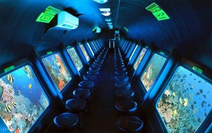 Excursão no Semi-Submarino SeaScope }}
