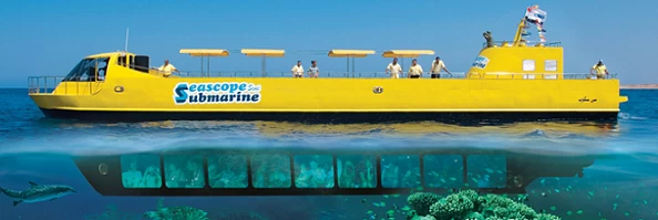 Excursão no Semi-Submarino SeaScope }}