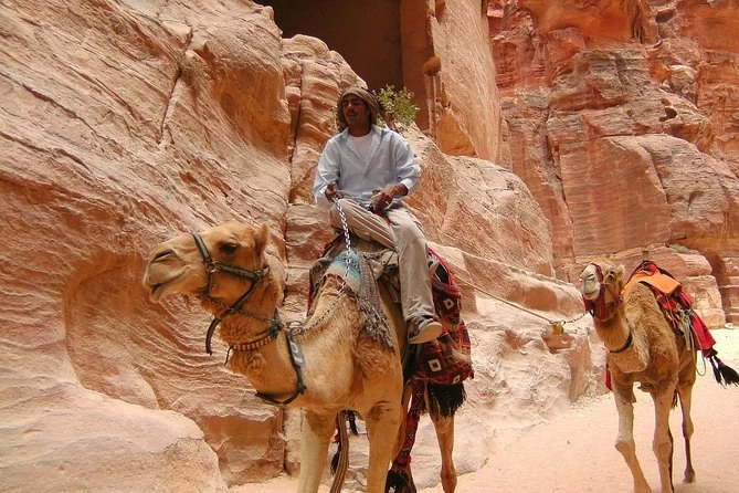 Excursão de Um Dia a Petra a partir de Sharm el-Sheikh }}