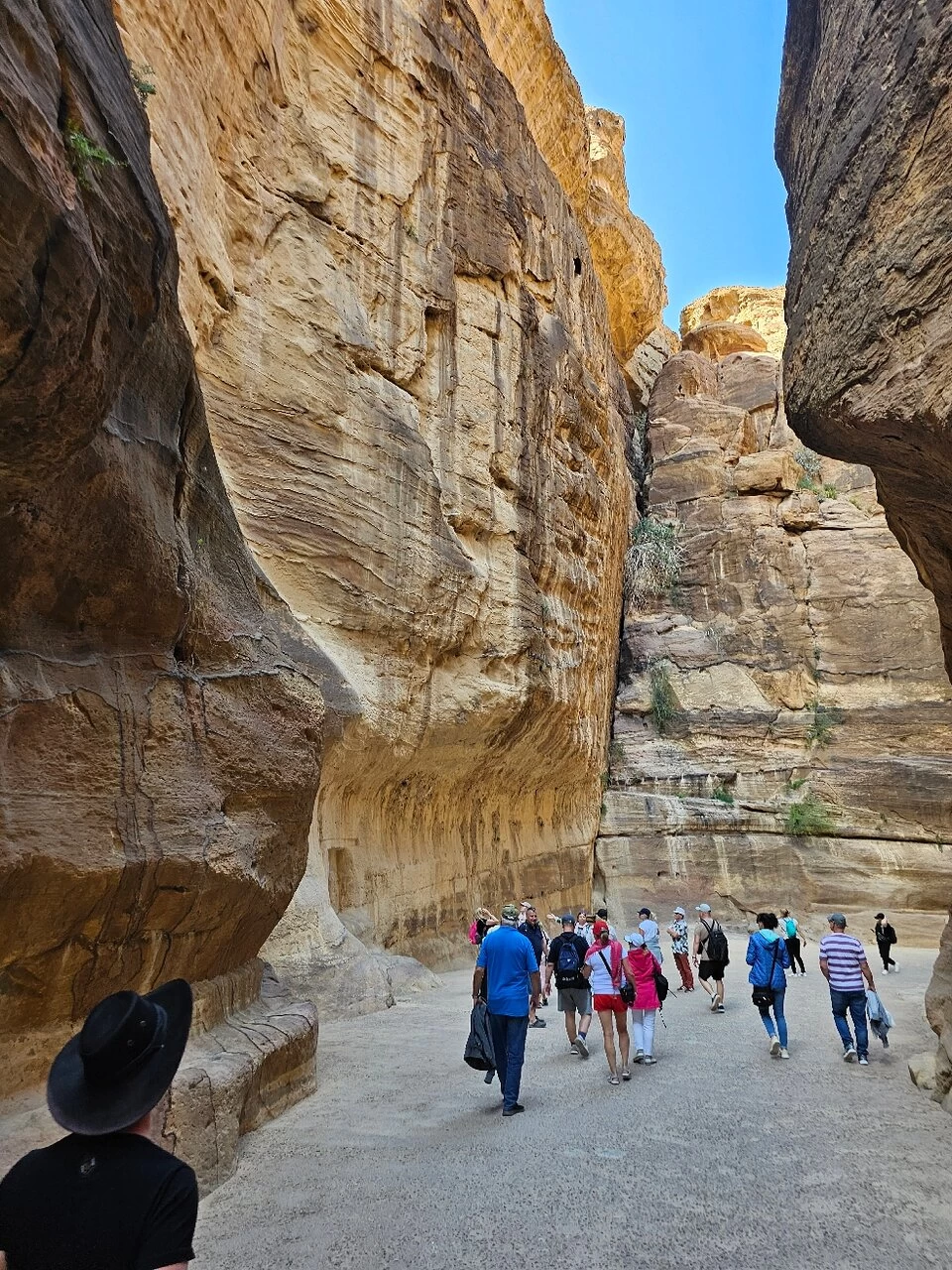 Excursão de Um Dia a Petra a partir de Sharm el-Sheikh }}